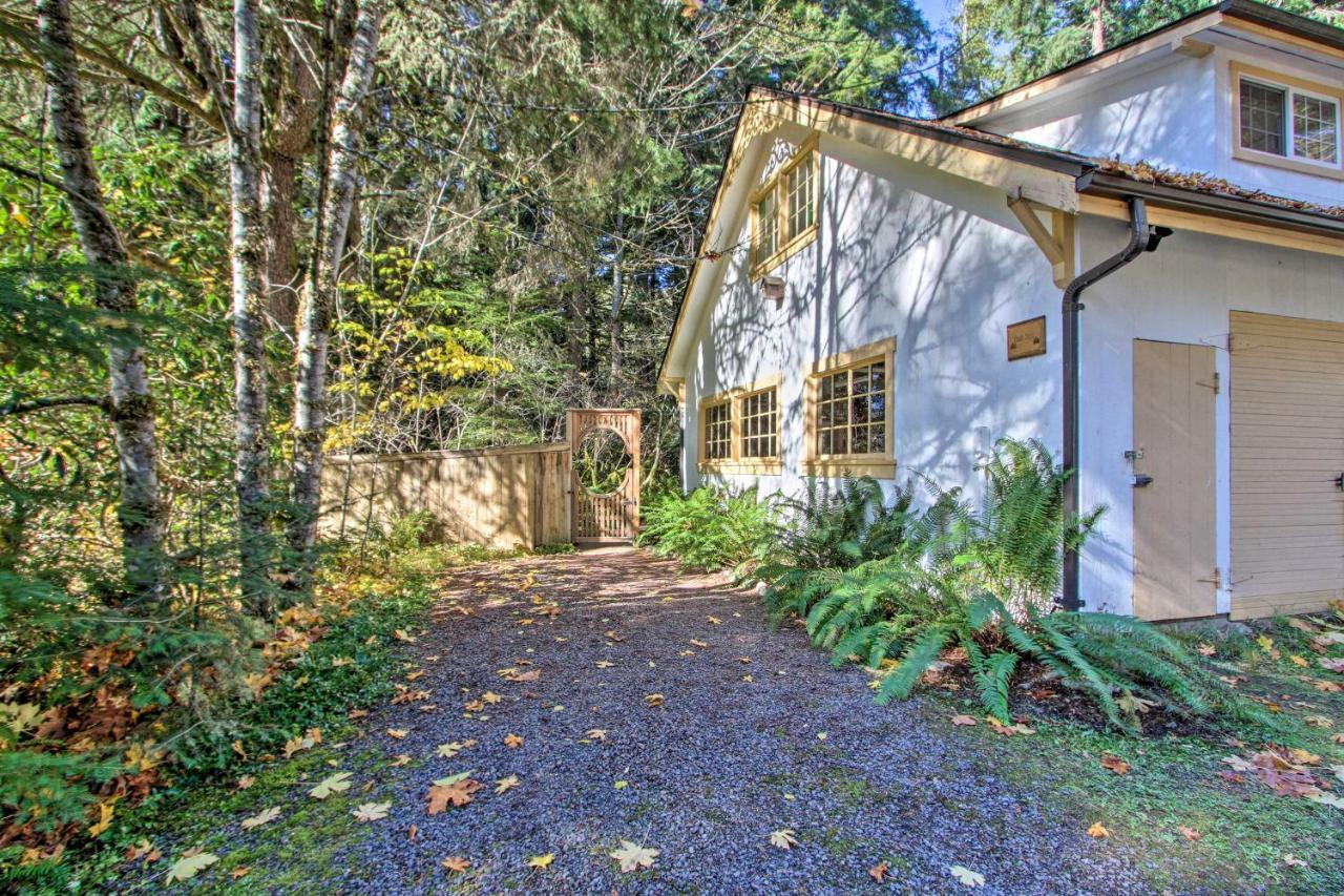 Owls Nest Studio With Hot Tub Hike Nearby! Ashford Zewnętrze zdjęcie